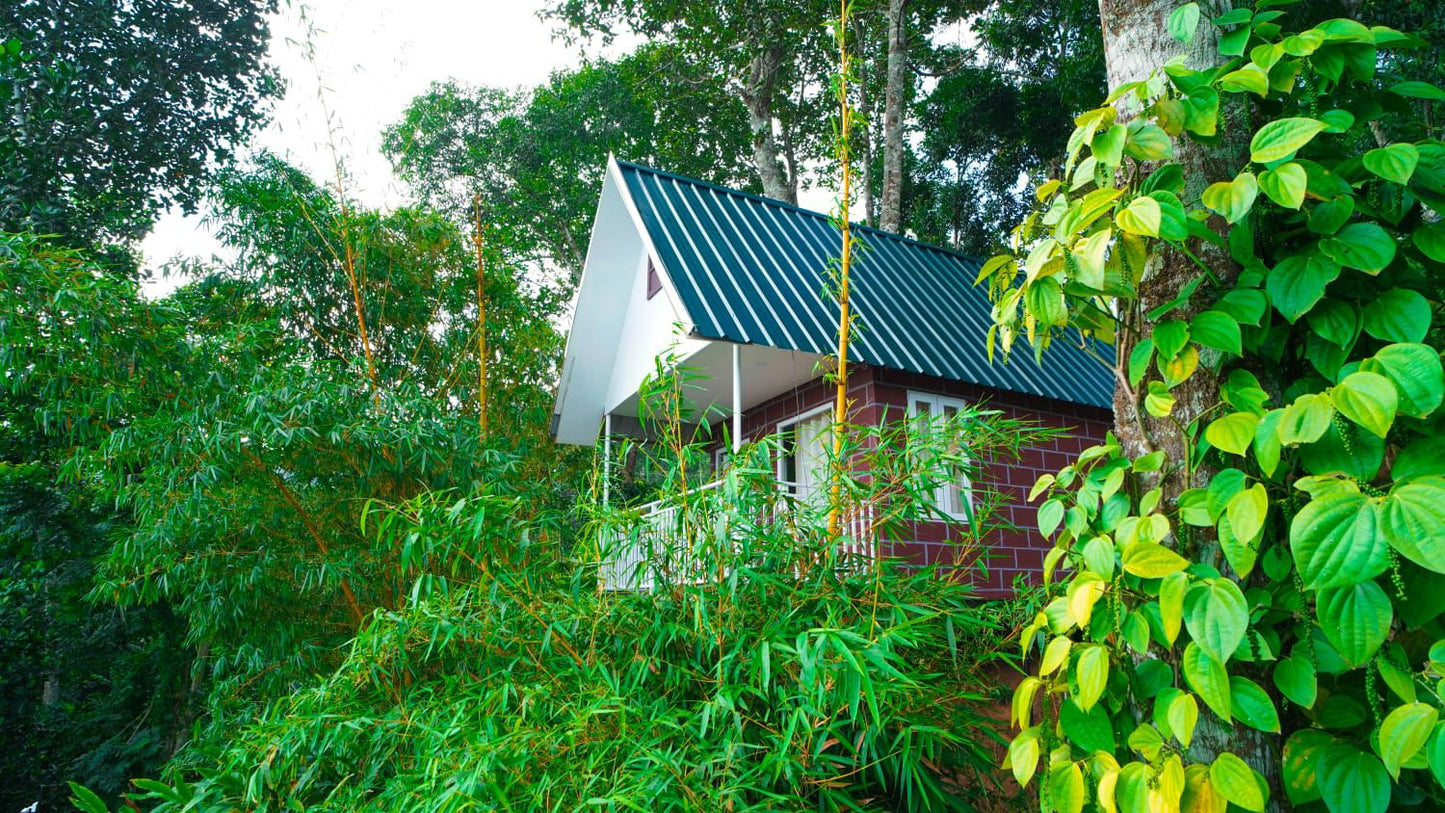 Luxury 4BHK Villa with Private Pool in Munnar – Family & Group Retreat