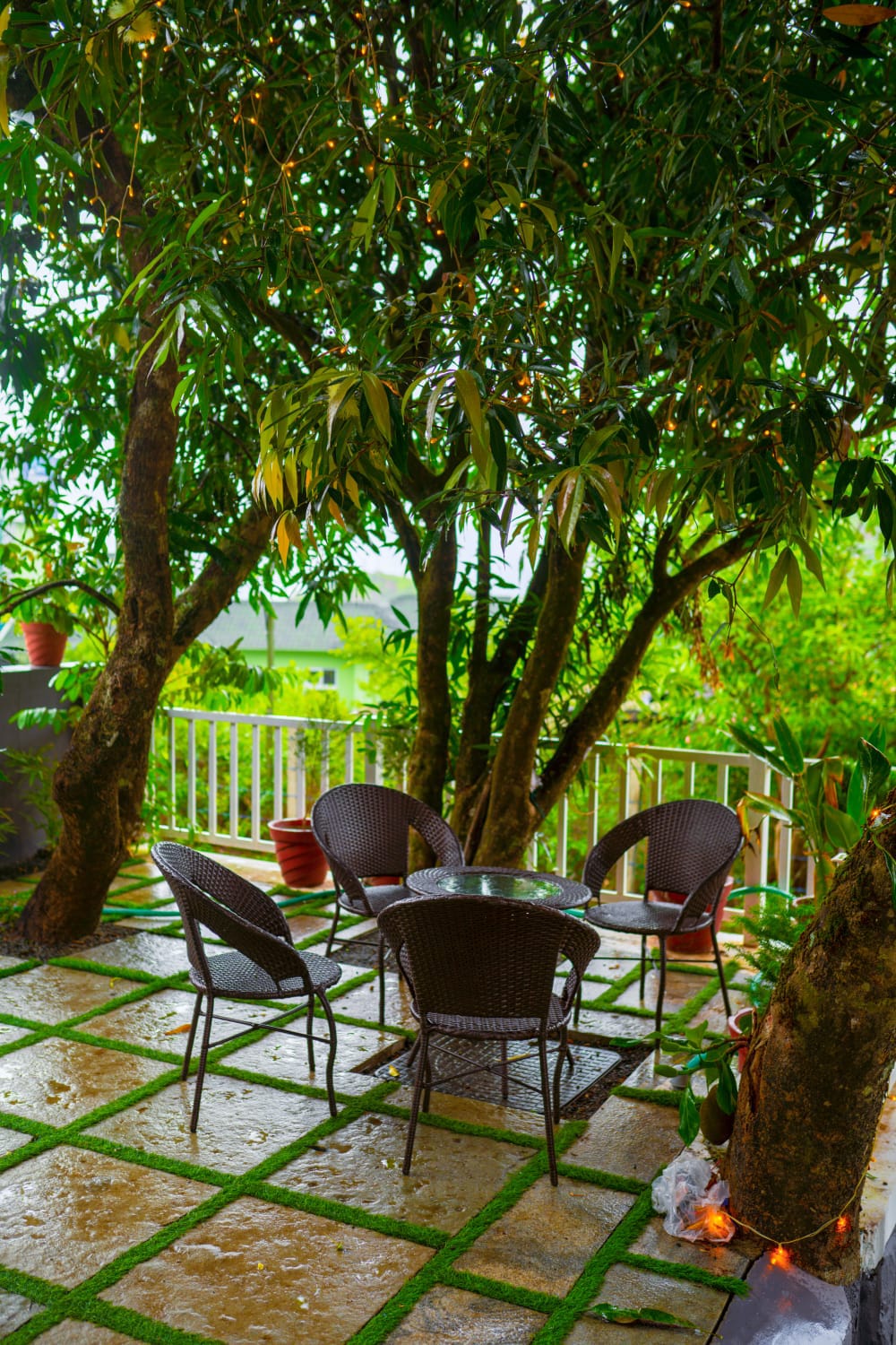 Vagamon Luxury 3BHK Villa – Spacious Holiday Home for Families & Groups