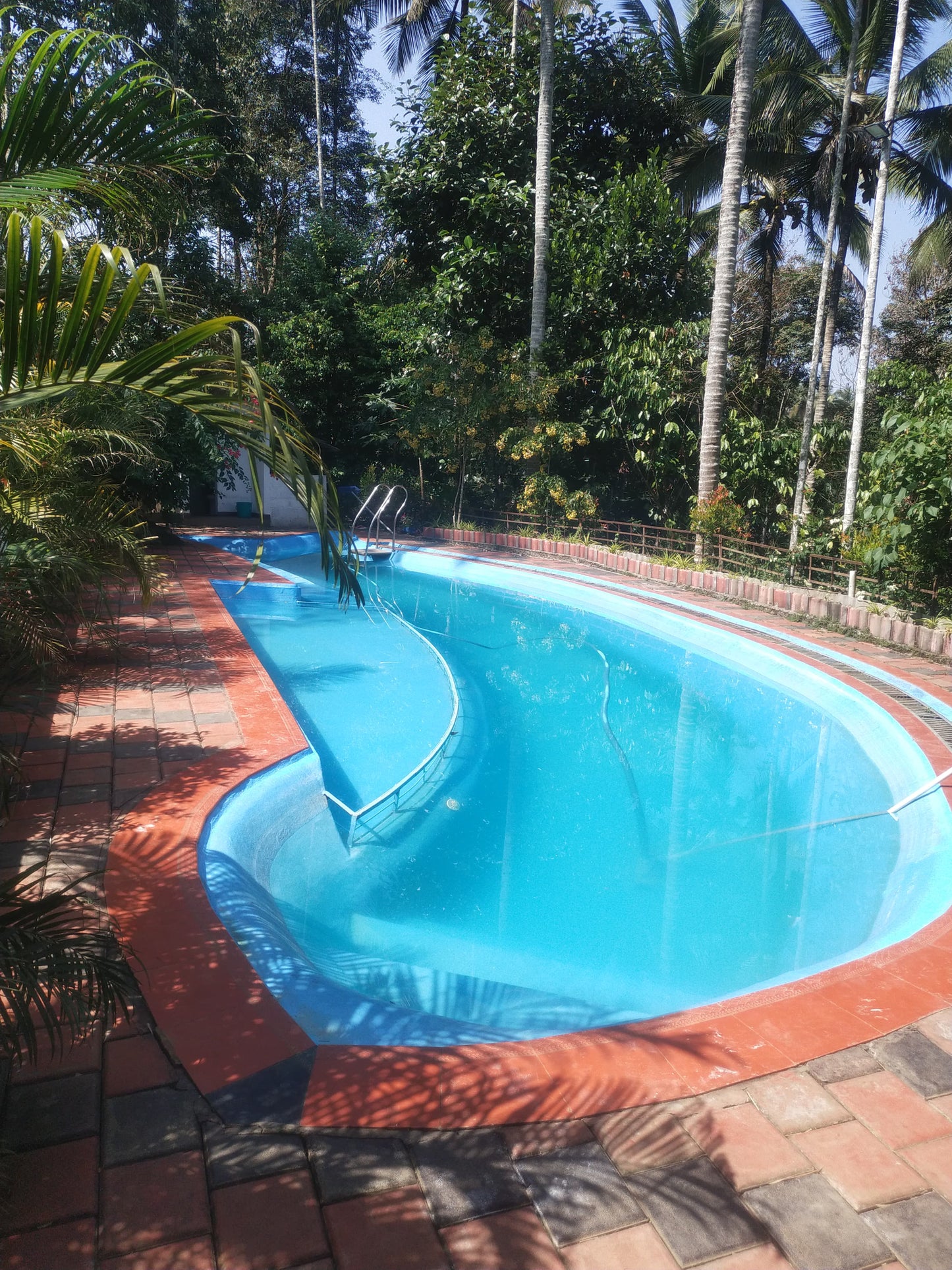 5BHK Pool Villa in Wayanad with Private River Stream – Luxury Nature Retreat