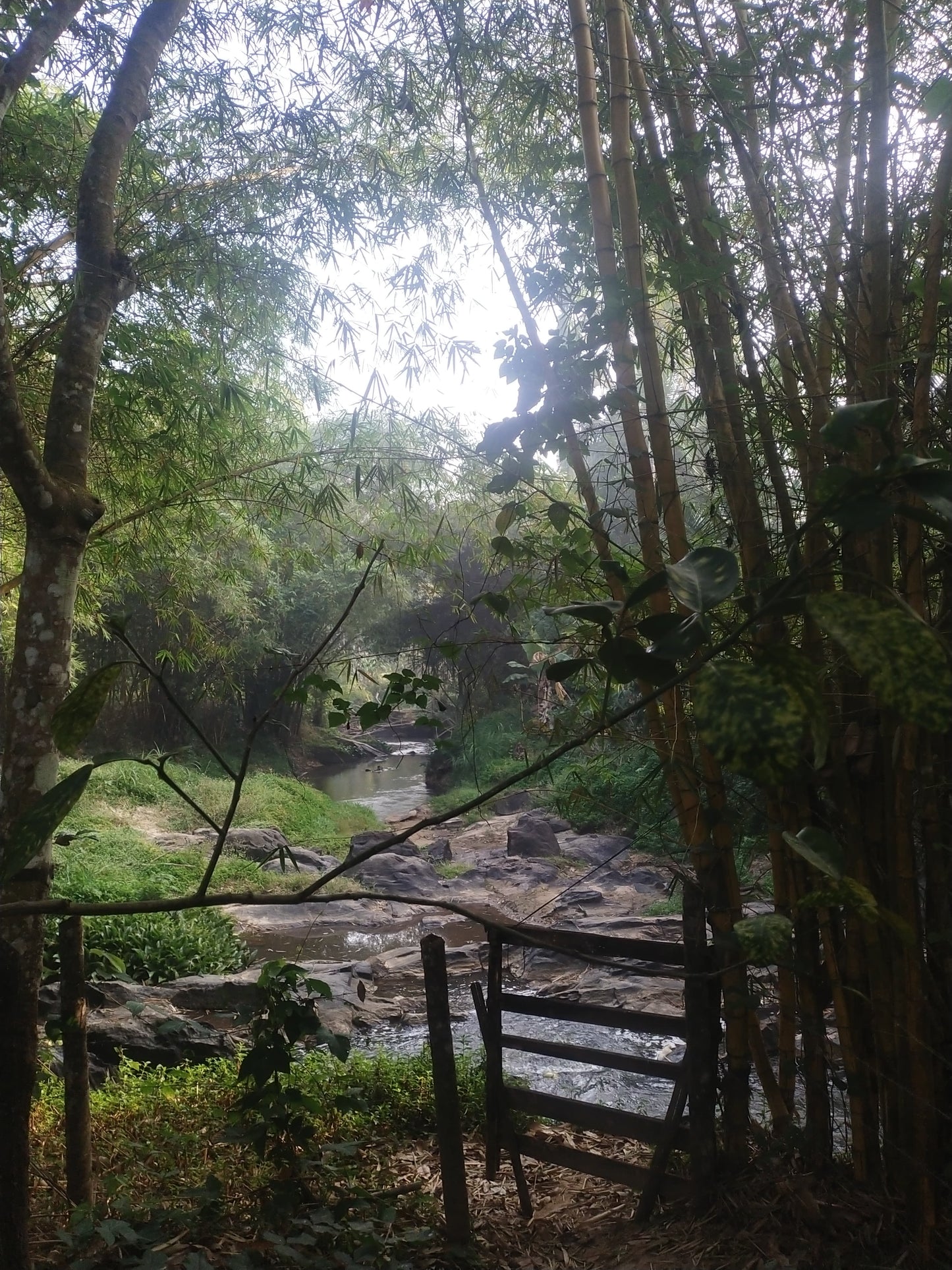 5BHK Pool Villa in Wayanad with Private River Stream – Luxury Nature Retreat