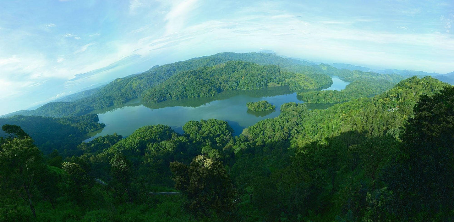 Ragamaya Resort Munnar | 5-Star Luxury Kerala
