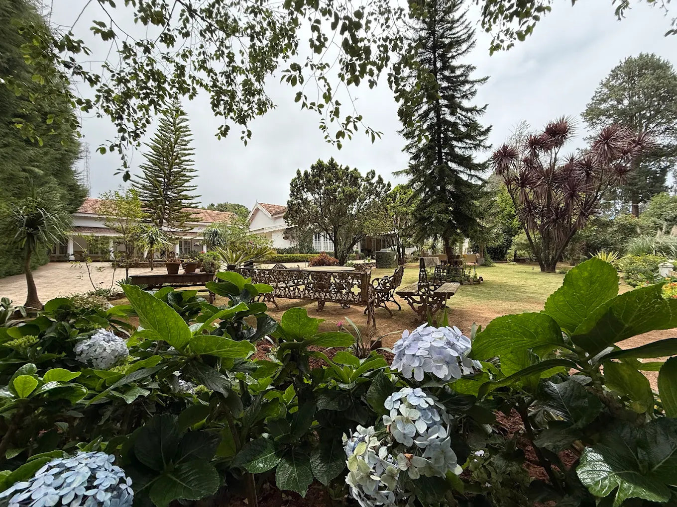 Marli Hill Bungalow - Colonial Heritage Stay in Ooty