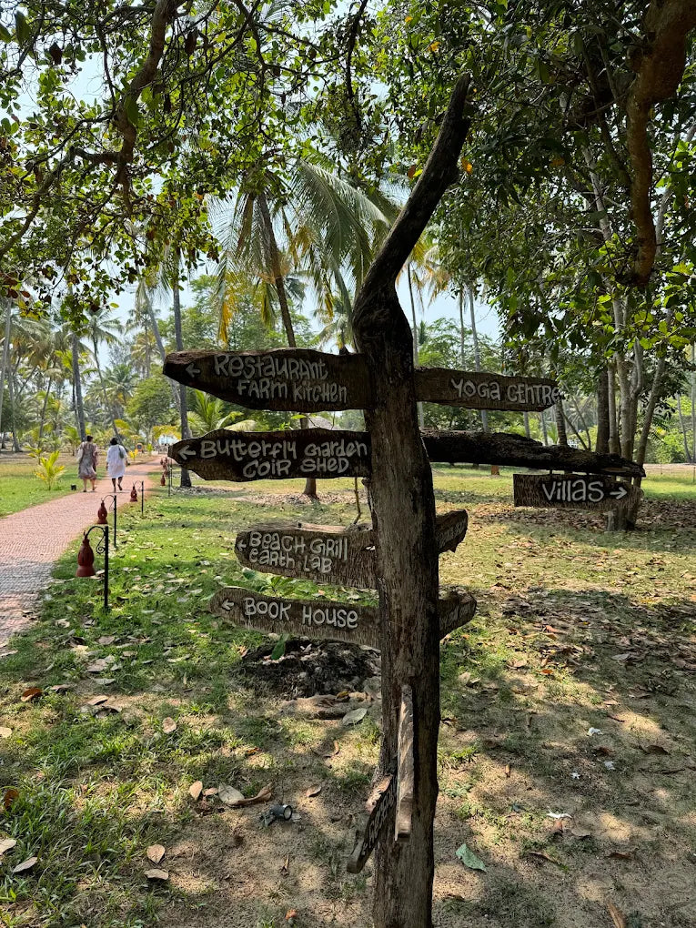 Marari Beach - Where Nature Meets Culture